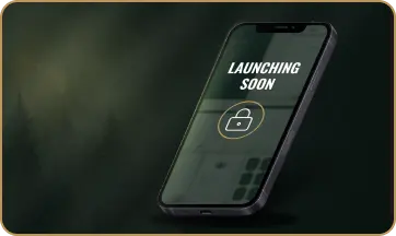 Preview of an upcoming project